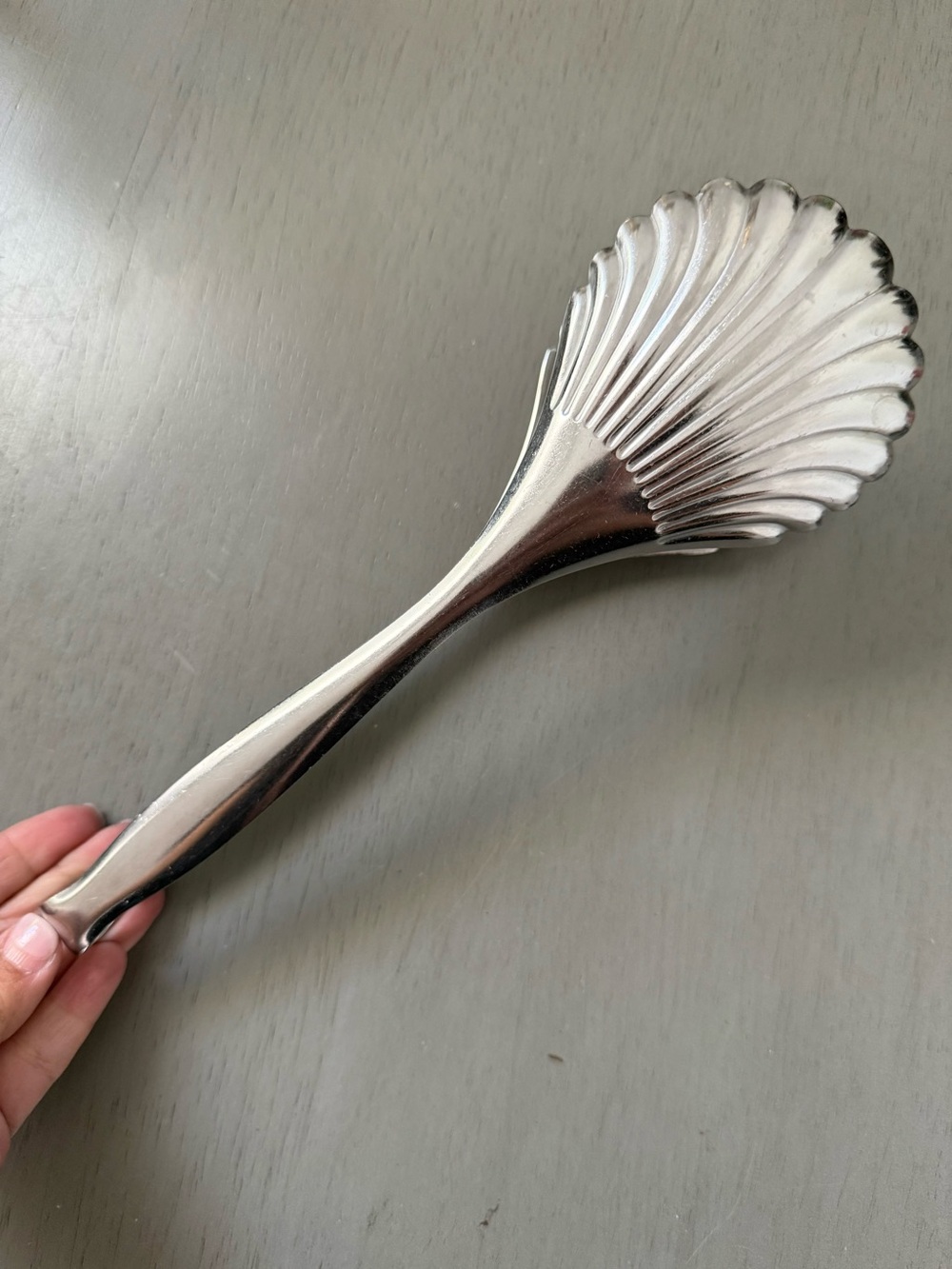 Piazza serving tongs 18/10 stainless steel made in Italy scalloped seashell